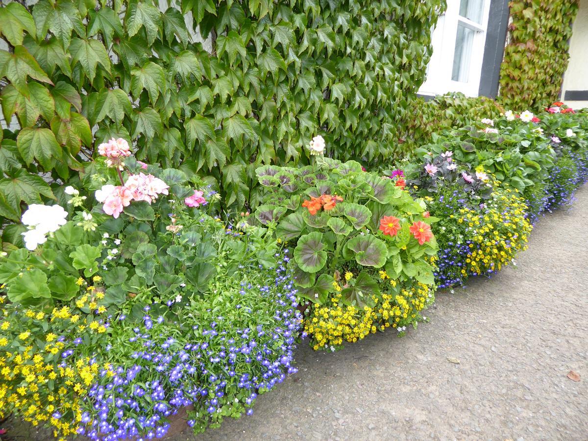 Marykirk Hotel Eksteriør billede